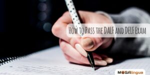How to Pass the DALF and DELF Exam