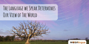 The Language We Speak Determines Our View of the World