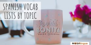 spanish vocabulary by topic pink mug written la vida bonita