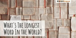 what is the longest word in the world overlapping books mosalingua