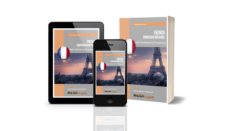French Travel Guide composite