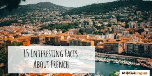 View of a French port city with the text "Fun Facts About French."