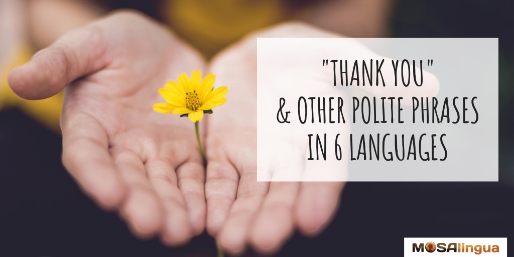 Hands holding out a small yellow flower. Learn to say thank you in different languages. MosaLingua.
