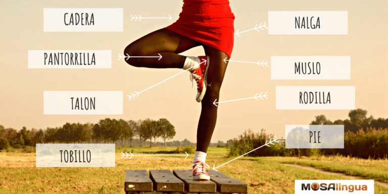 Person standing on one leg, pictured from the waist down and wearing a red skirt and red shoes. Body part diagram in Spanish - vocabulary for legs and feet.