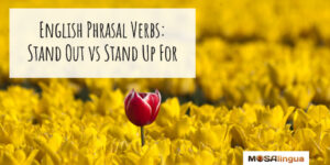 Photograph of a red tulip in a field of yellow tulips. Text reads: "English Phrasal Verbs Stand Up vs Stand Out."