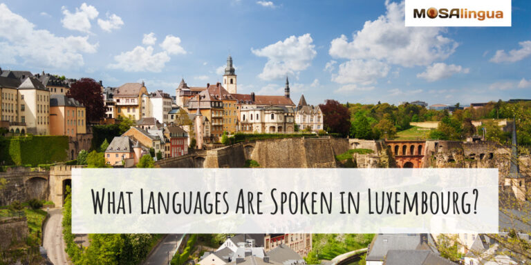 what-is-the-main-language-in-luxembourg-mosalingua