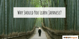 Photograph of a person standing among tall bambook stalks. Text reads "Why should you learn Japanese?" to accompany article titled "Why Learn Japanese?"