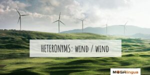Wind or Wind? English Heteronyms That Confuse Learners