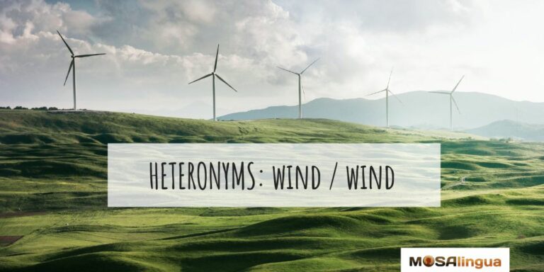 A lush green field with five wind turbines in the distance. Text reads: Heteronyms wind vs wind. MosaLingua.