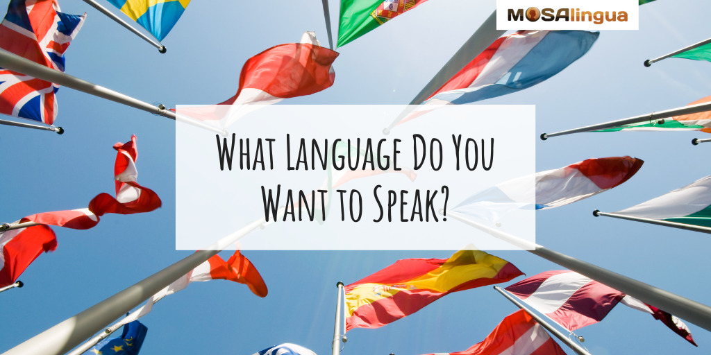 Image of many different flags from around the world, with the text "What language do you want to speak?"