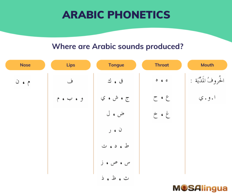 A chart with the various Arabic sounds and where they are produced: nose, lips, tongue, throat, and mouth.