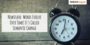 Newsflash: Words Evolve Over Time! It's Called Semantic Change