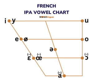 IPA vowel pronunciation chart for French.