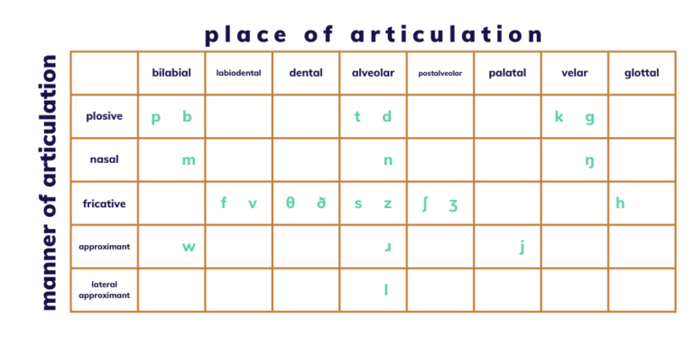 Chart showing IPA symbols for pronunciation of English consonants.