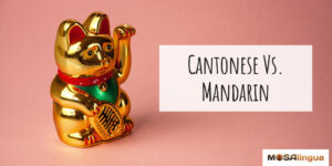 Cantonese vs Mandarin: What's the Difference?