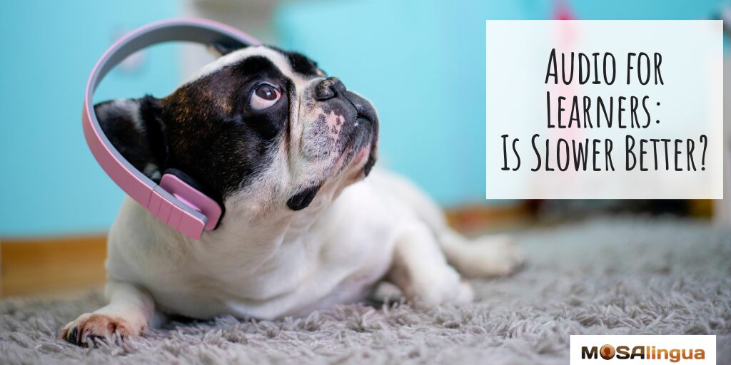 Image of a dog wearing headphones. Text reads "Audio for learners: Is slower better?"
