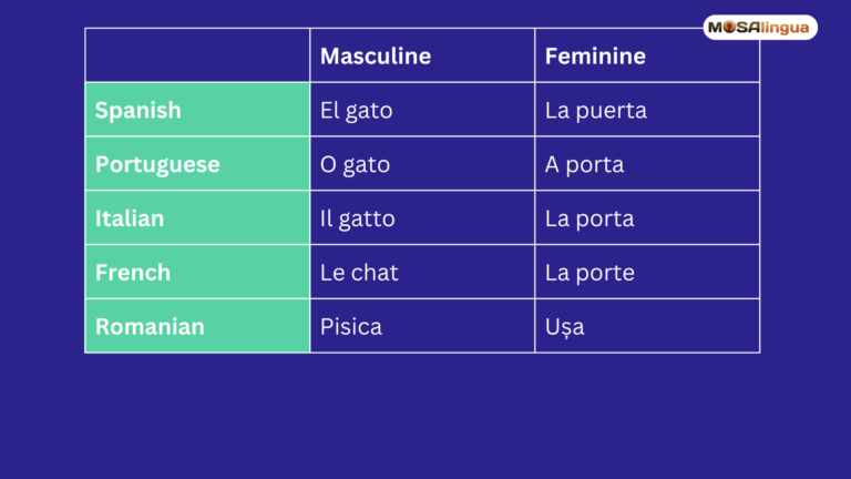 Table comparing gendered nouns between romance languages.