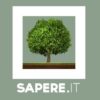 resources to learn italian sapere dictionary