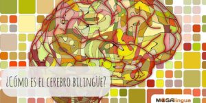 ¿Cómo es el cerebro bilingüe?