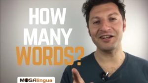 Cuántas palabras hace falta saber para hablar un idioma