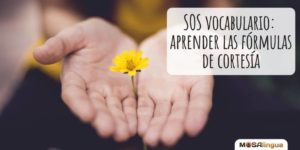 SOS vocabulario: cómo dar las gracias en 6 idiomas (¡y conocer las fórmulas de cortesía!)