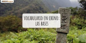Vocabulario en chino: las bases que debes saber