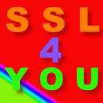 SSL4YOU-Spanish-Segunda-Lengua-logo
