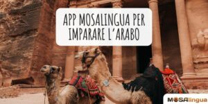 MosaLingua lancia la sua app per imparare l'arabo