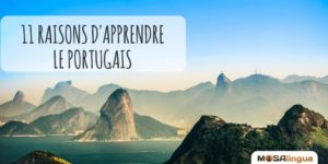 apprendre le portugais ? voici 11 bonnes raisons
