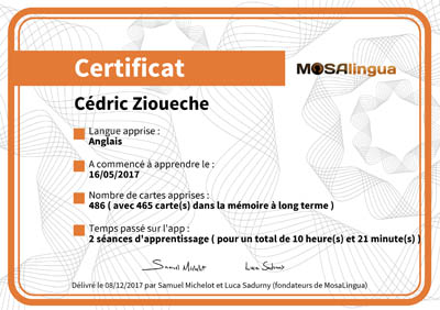 example MosaLingua language certificate