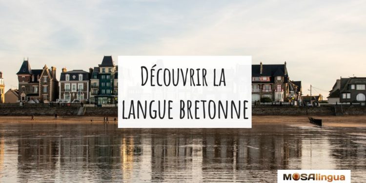 La langue bretonne - MosaLingua
