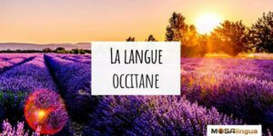 langue occitane